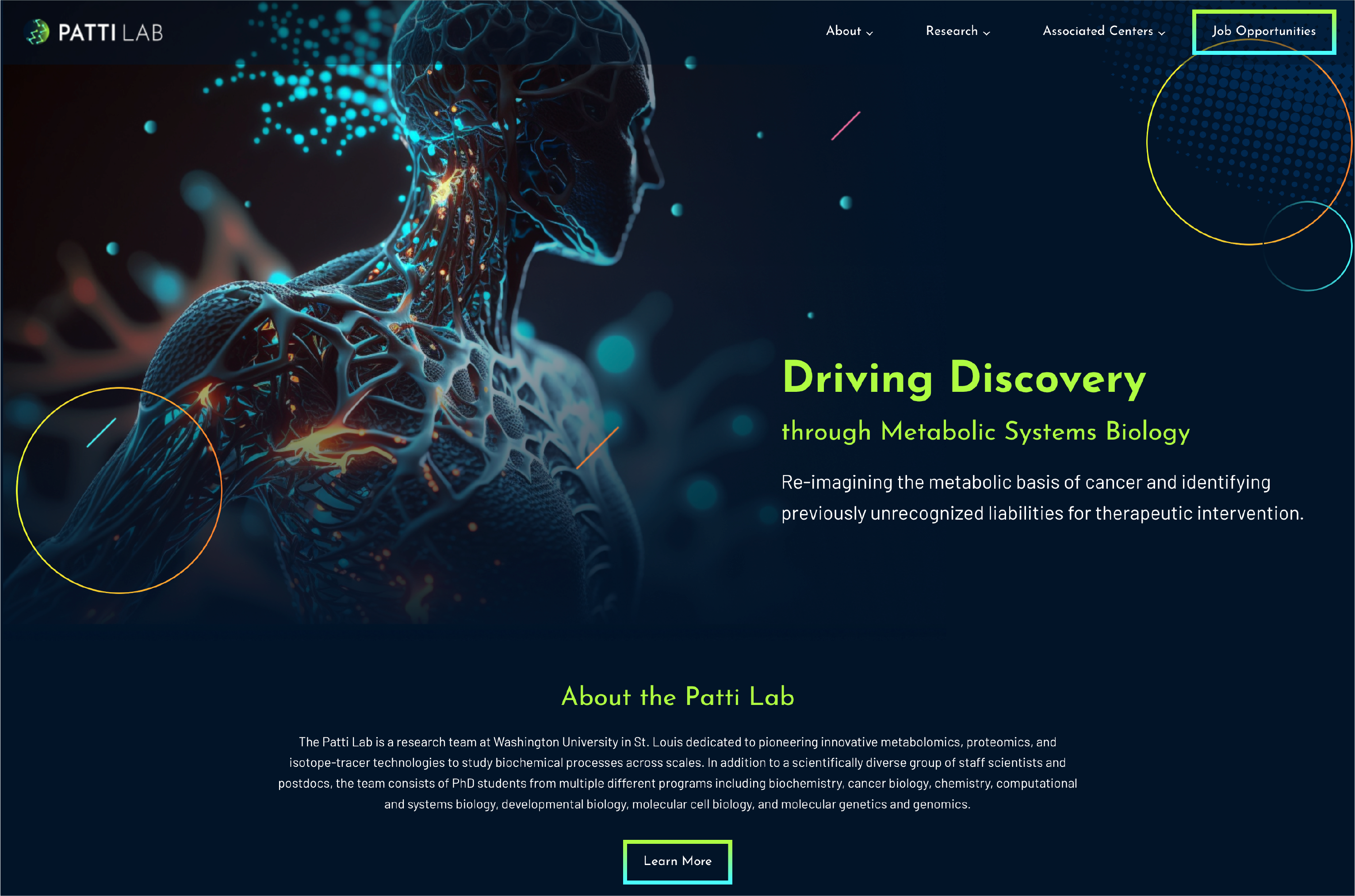 Thumbnail image of Patti Lab homepage.